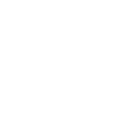 YARA logo